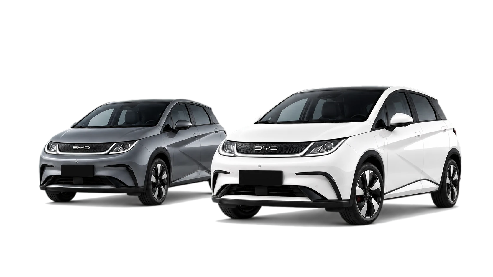 Dois BYD Dolphin, um branco e um cinza grafite